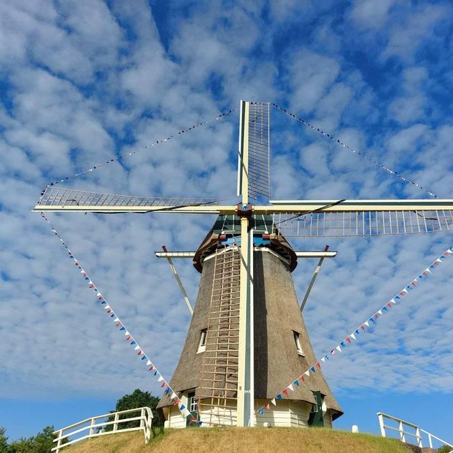 Molen de Duif