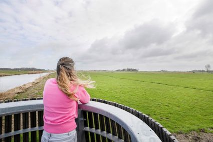 Land in zicht