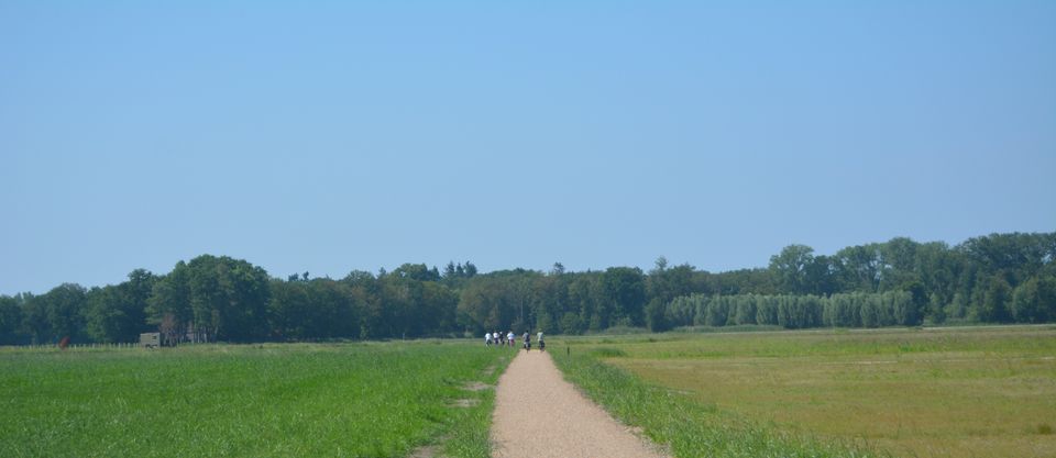 Through the fields