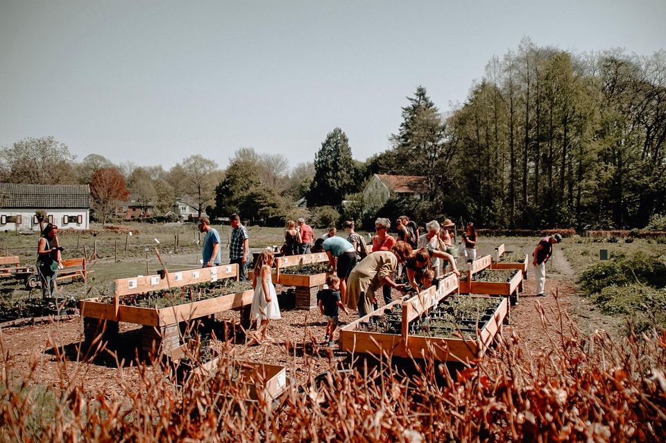 Tripweb Report-op de heuvelrug-kraaybeeckerhof