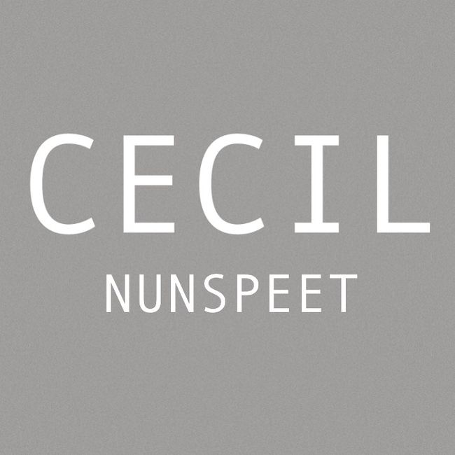 Cecil store