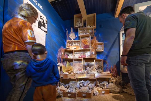Miramar Zeemuseum koraal