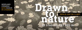 Expositie "Drawn to nature. De stad uit, het bos in"