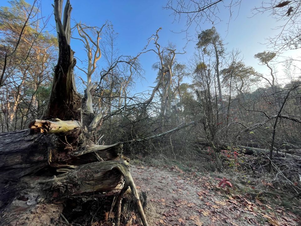Omgevallen bomen langs de Valwindroute