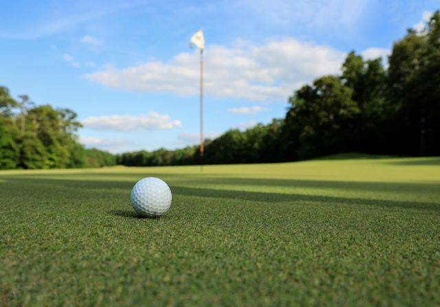 Een golfbaan in het groen