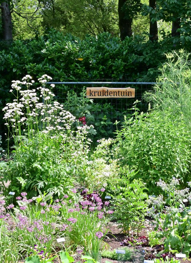 kruidentuin puur natuur