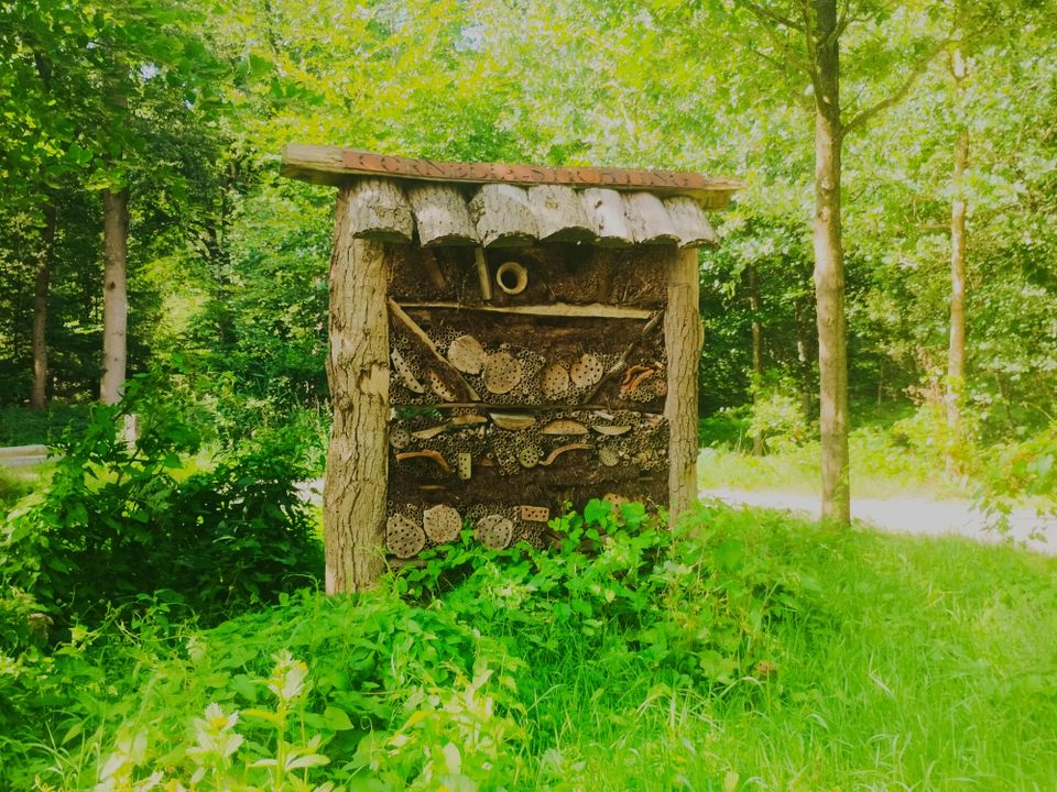 Rolstoelpad Lyndenstein Beetsterzwaag