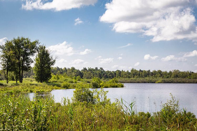 Het Belversven in Oisterwijk in de zomer