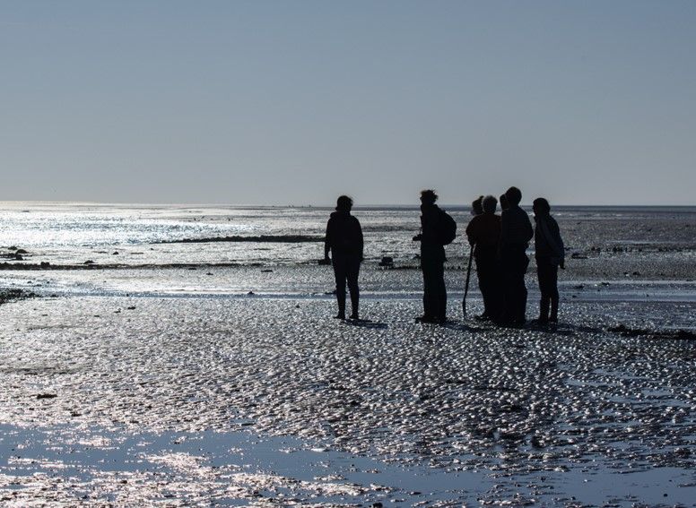 Wadexcursie Vlieland