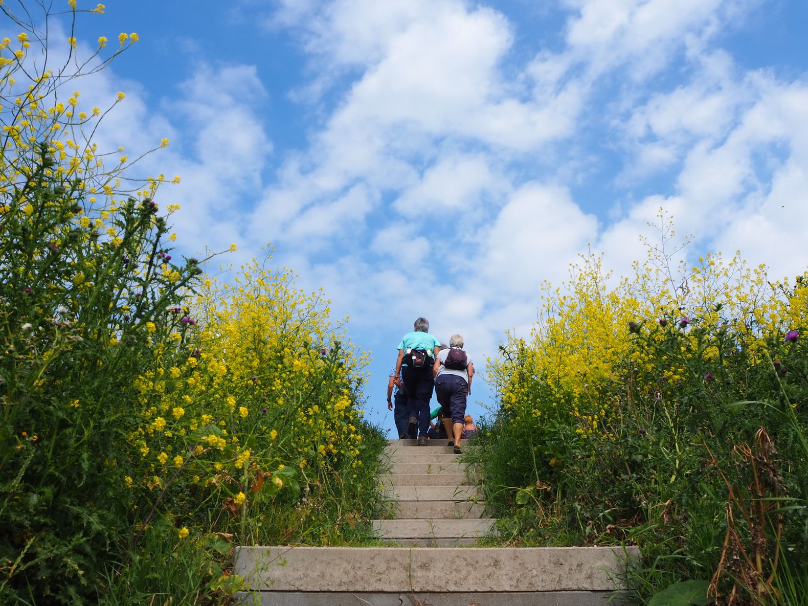 Wandelen in Flevoland