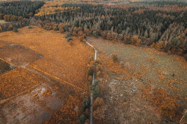 Luftaufnahme einer herbstlichen Landschaft in Drenthe
