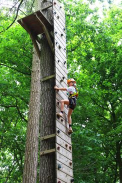Rocks ’n Rivers Treetop Adventure Park | VisitBrabant