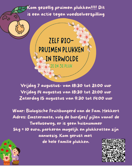 Kom bio-pruimen plukken in Terwolde