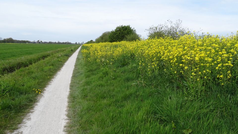 Het mooie van De Veenhoop-Drachten