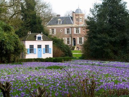 Jagtlust met krokussen