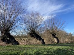 Winterwandeling