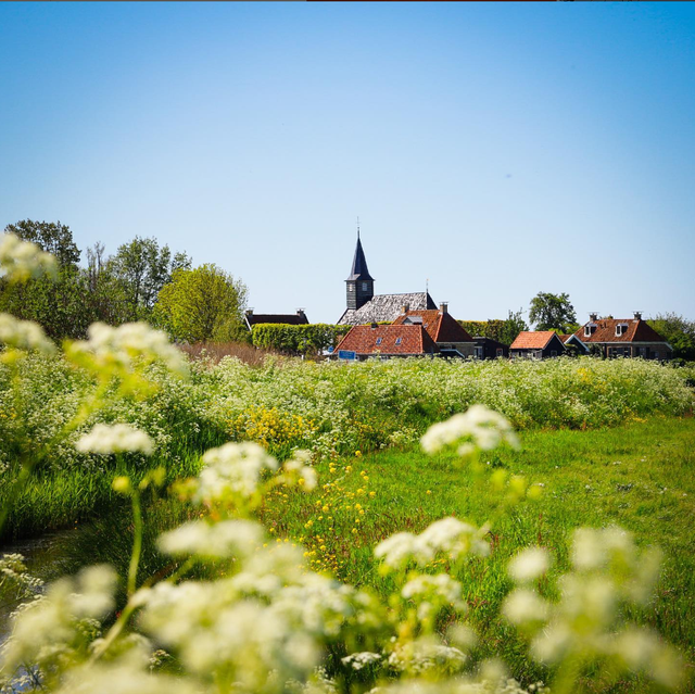Foto van het kerkje van Sandfirden tussen het fluitenkruid.