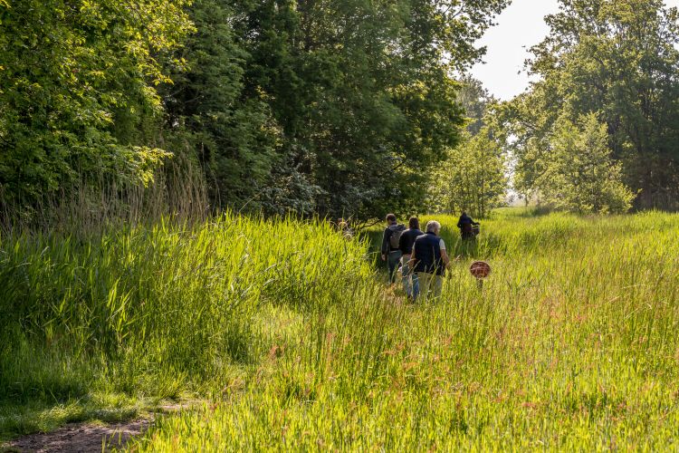 Op-Schouwen-Duiveland-Wandelen-Familie-Door-Weiland-op-Schouwen-Duiveland