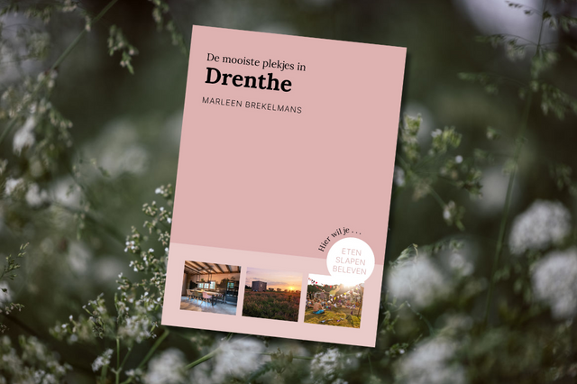 Cover van provinciegids over Drenthe van Marleen Brekelmans.