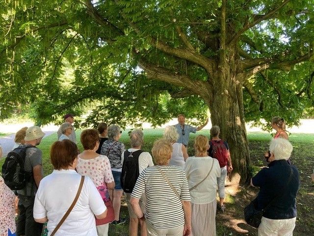 Een gids met daaromheen een groep mensen bij een boom in de bossen