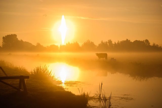 Uitzicht bij Boerderij de Boerinn in Kamerik