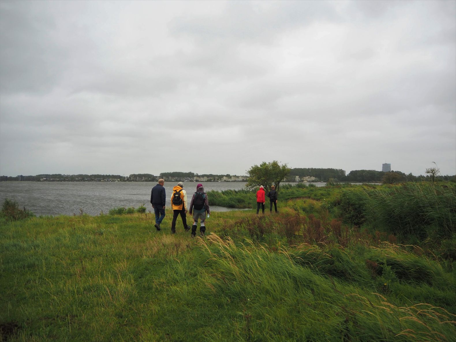 Wandelen in Flevoland - de trap op