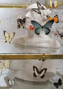 TRANS-FORM, solopresentatie Guido Geelen