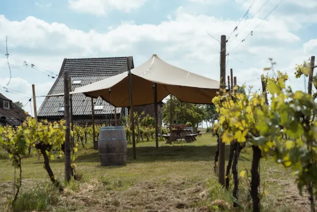 Wijngoed Havelte tent
