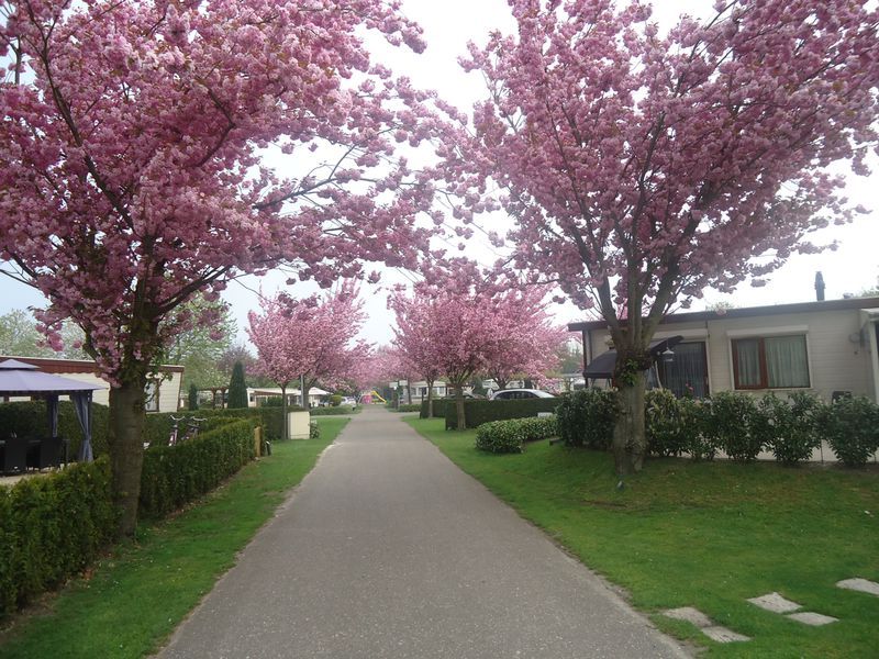 Camping Rakelbos 3