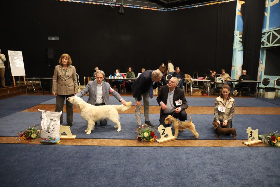 Clubmatch | Kynologenclub Winterswijk 2026