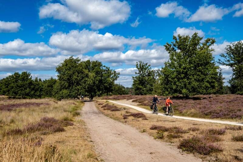 Twee fietsers fietsen dwars over de Kampina langs de bloeiende heide