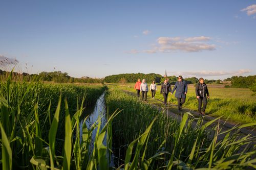 Een groep wandelaars loopt over een pad in de natuur naast de sloot in Hoogerheide.