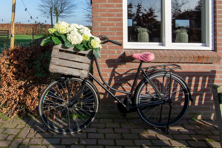 Bed & Breakfast op Dreef Deurne