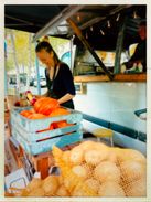 FeelGood Market 15 juni vaderdag!