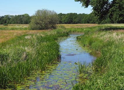 De Reest © Hans Dekker-Het Drentse Landschap