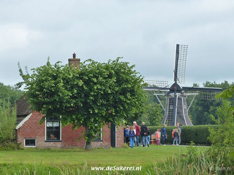 Rondleiding langs de woudhuisjes