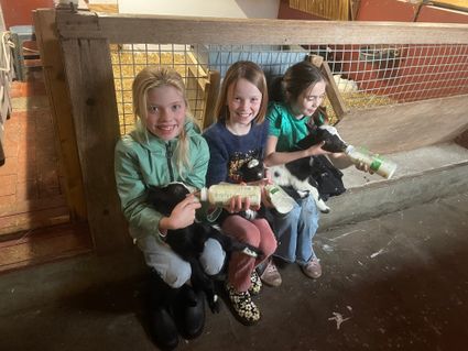 Kraamvisite | Geitenkaasboerderij Brömmels