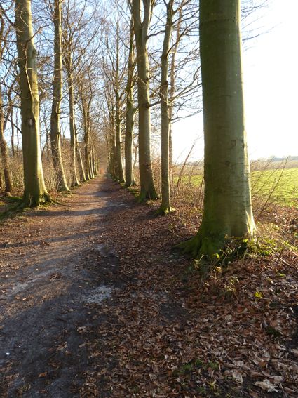 Dronkemanslaantje Kolonie Ommerschans