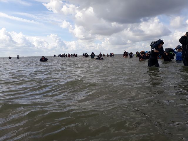 Wadlopen naar Schiermonnikoog (Brakzand)