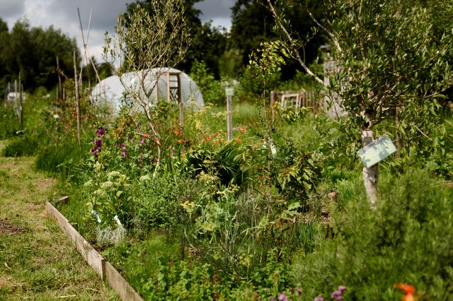 Oogsttuin Hof van Heden