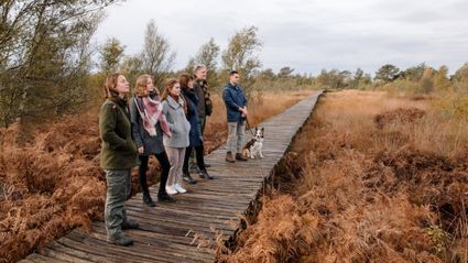 Groepsexcursie De Groote Peel