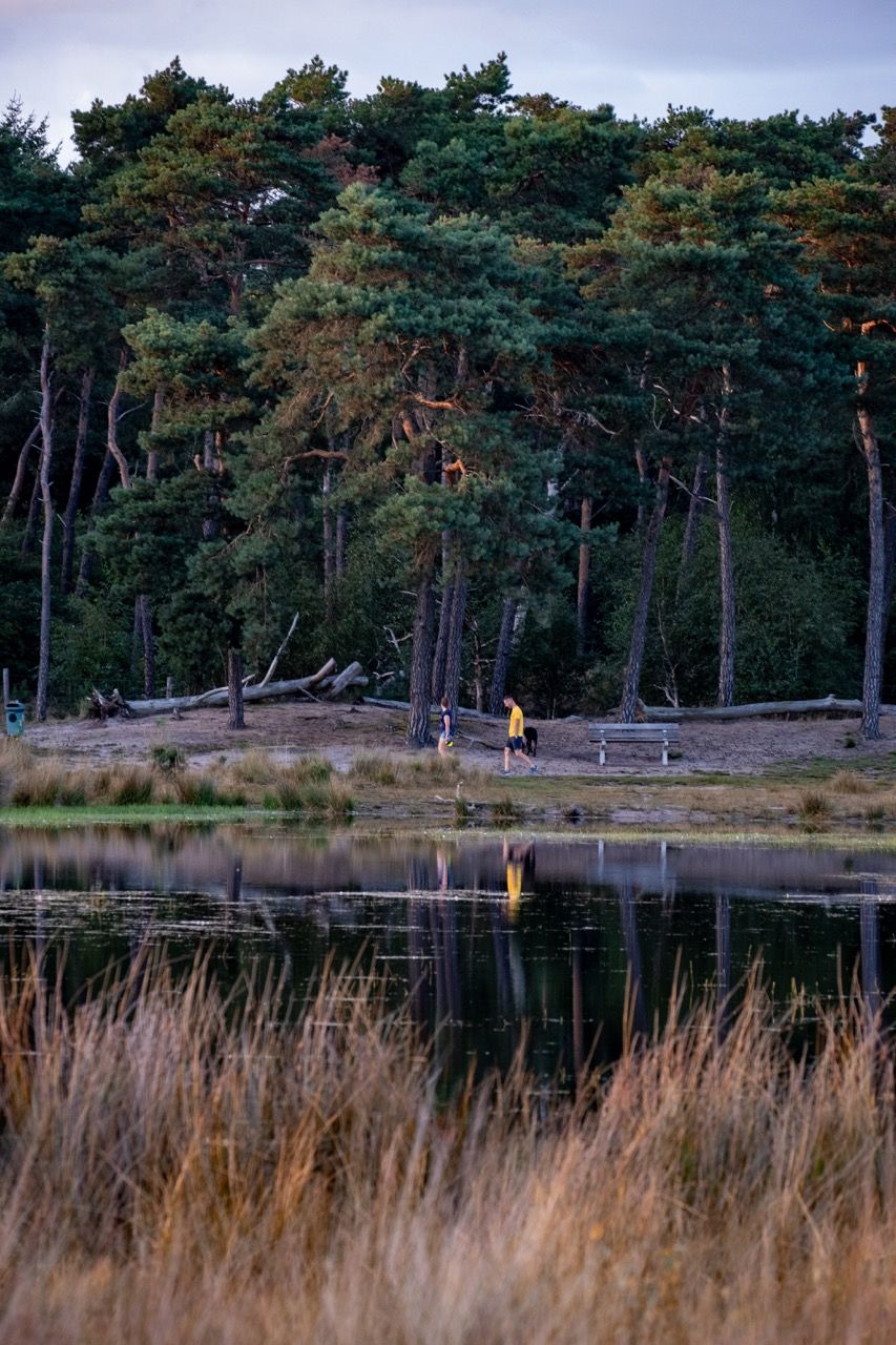Wandelaars bij het Buntven in Deurne