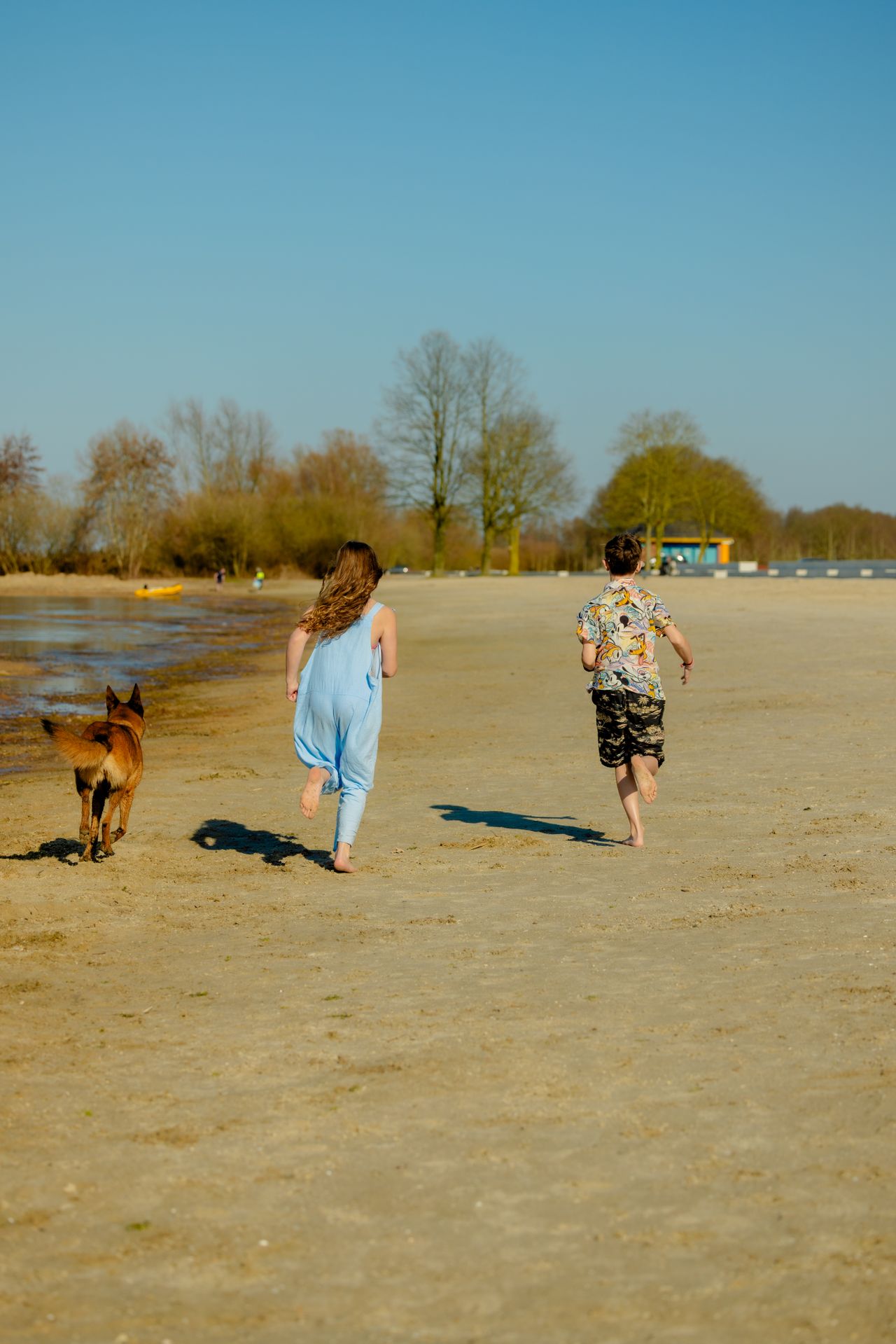 kinderen rennen op strand met een hond