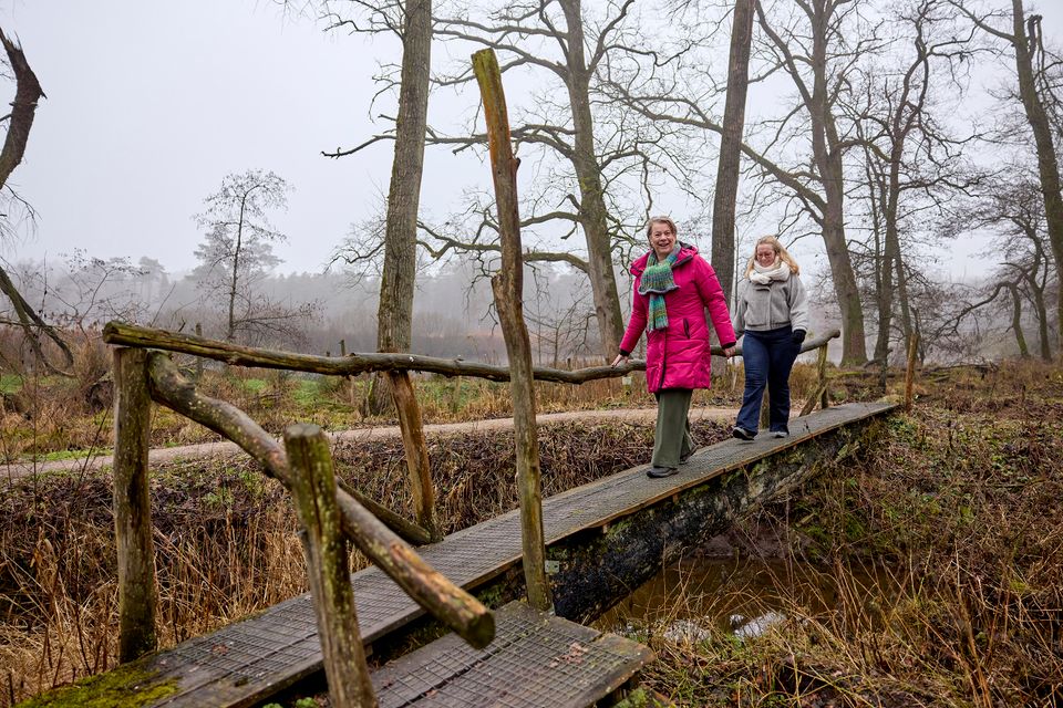 Wellenseind Lage Mierde