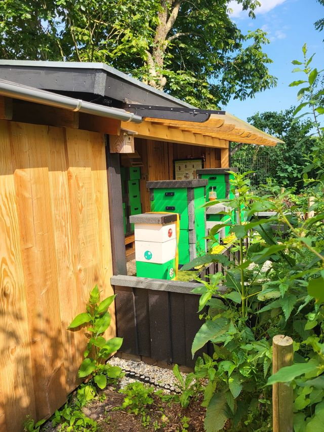 Groene bijenkasten in de bijenstal op Landgoed Bredius in Woerden. Een plek waar bijen bijdragen aan biodiversiteit en waar bezoekers kennismaken met imkeren en de natuur.
