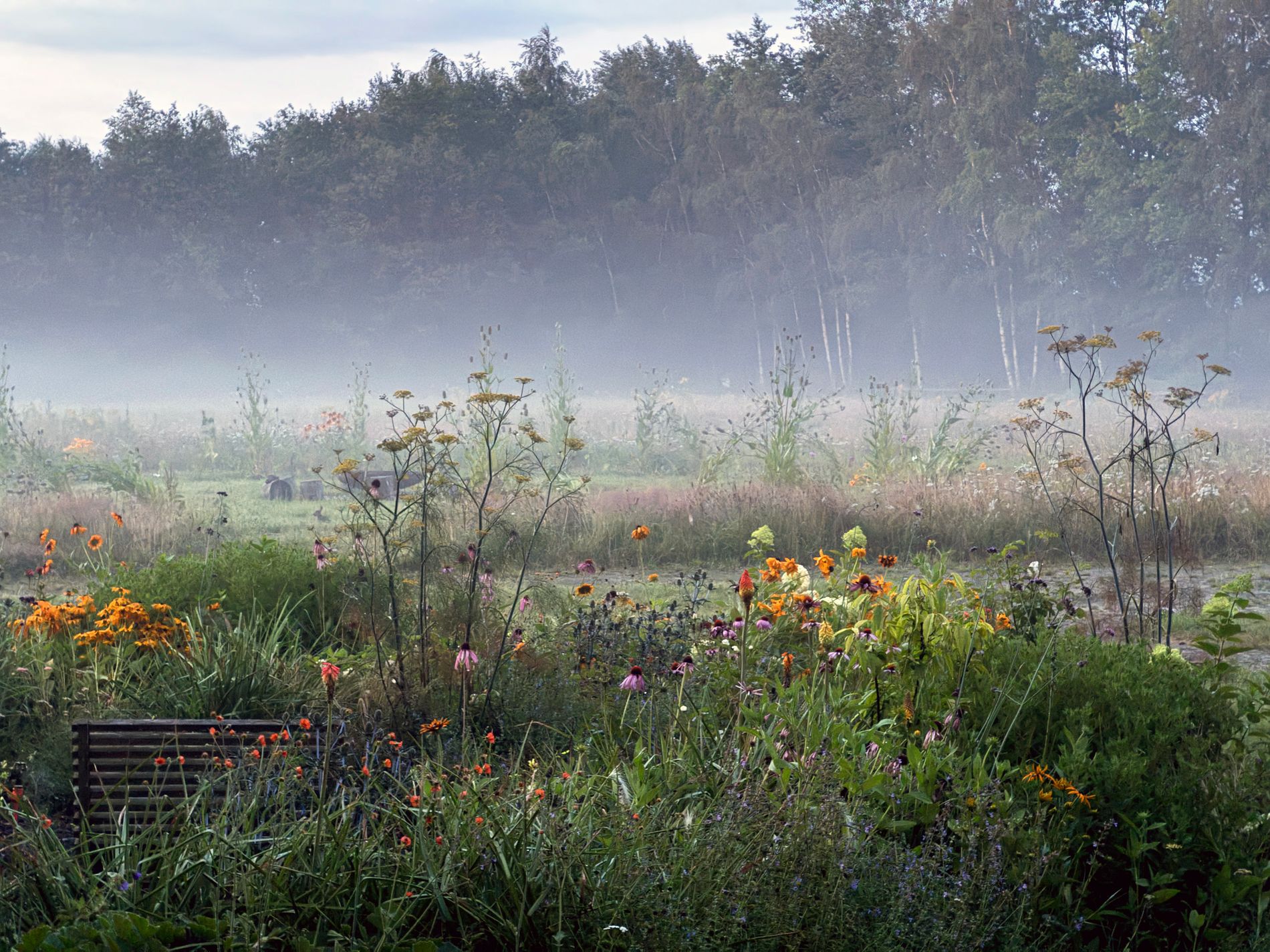 Sfeerfoto van een inspiratietuin