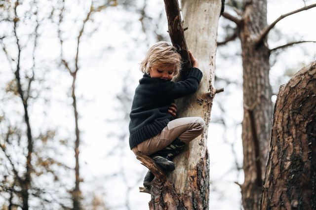 Een jongetje klimt in een boom