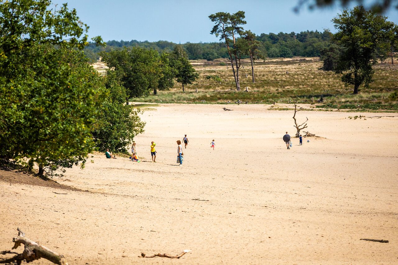 Loonse en Drunense Duinen