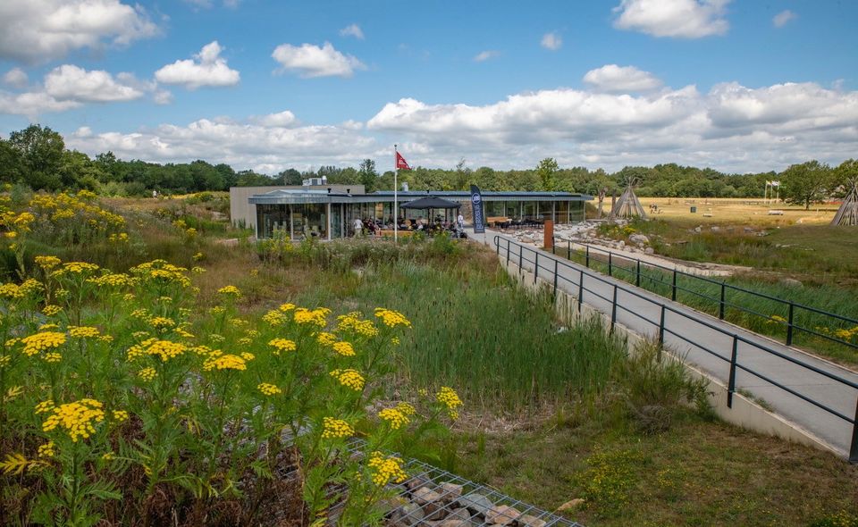 Eingangstor Holtingerveld