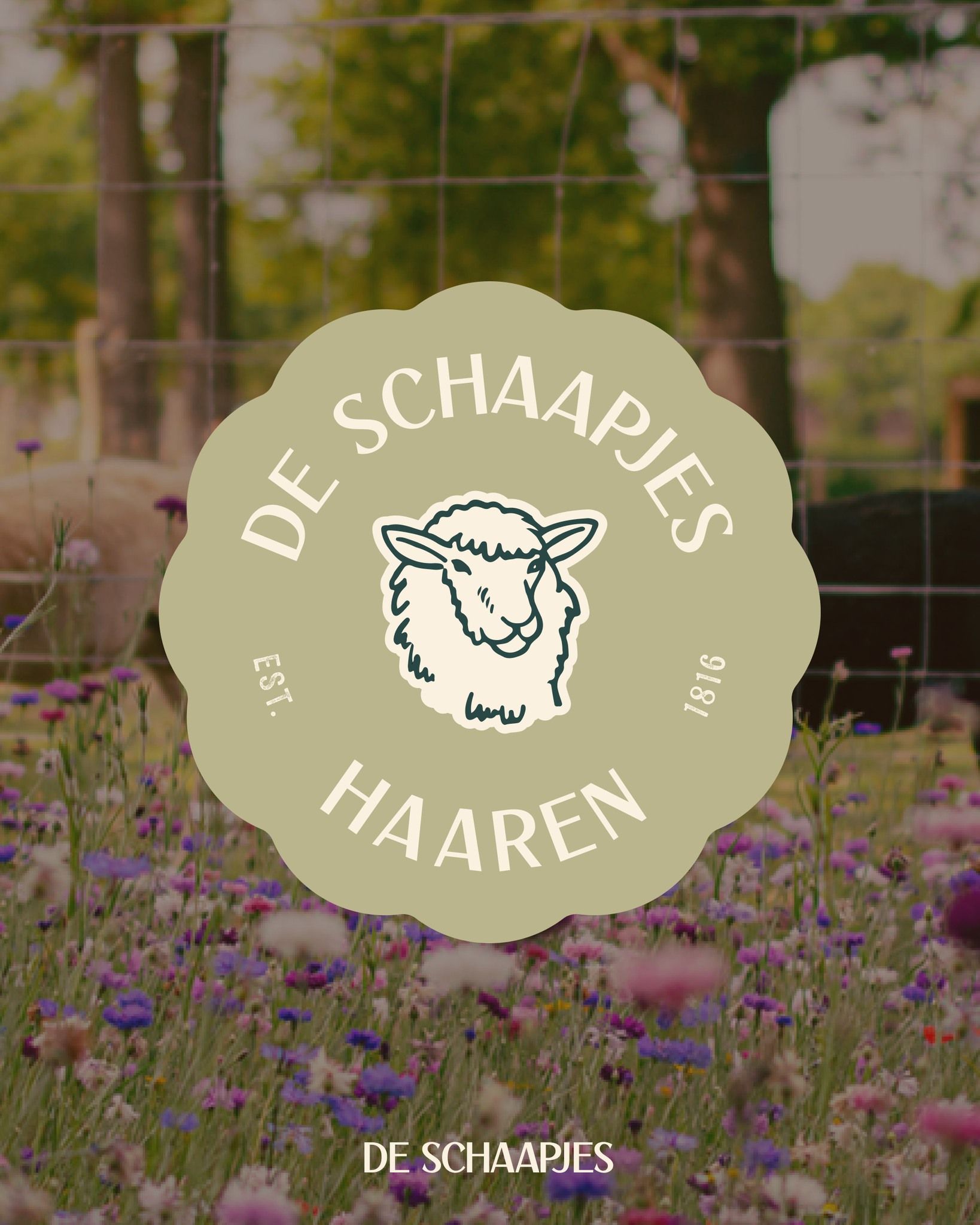 Logo van horeca De Schaapjes in Haaren